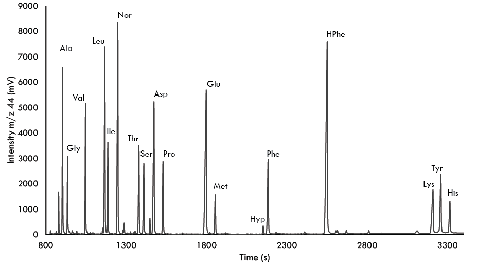 Figure 1 Chromatogram of delta 13C N-acetyl amino acid methyl ester derivatives from fish muscle