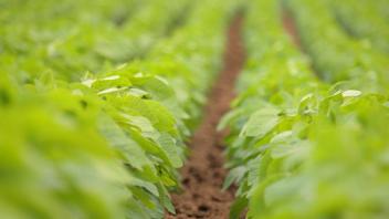 Agroecology